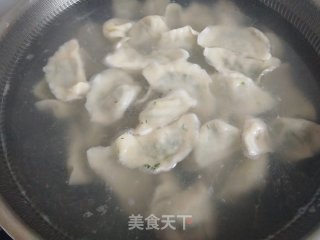 茴香馅水饺的做法步骤：5