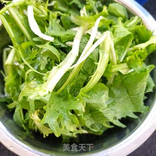 肉丝炒苦菊的做法步骤：2