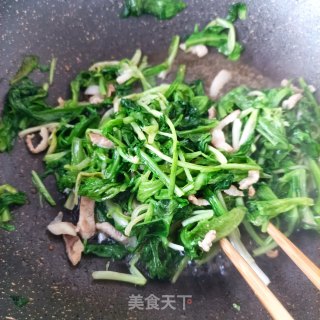 肉丝炒苦菊的做法步骤：8