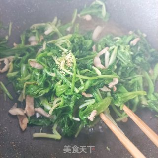 肉丝炒苦菊的做法步骤：9