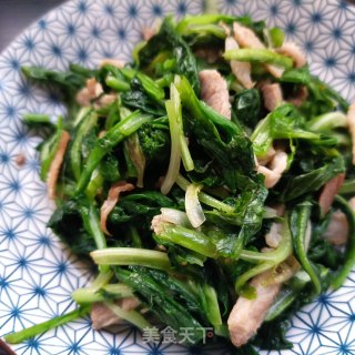 肉丝炒苦菊的做法步骤：10