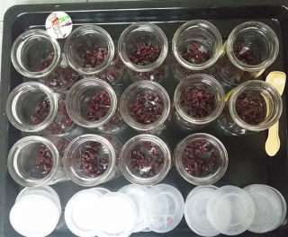 自制蔓越莓酸奶的做法步骤：6