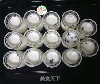 自制蔓越莓酸奶的做法步骤：7