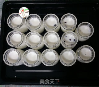 自制蔓越莓酸奶的做法步骤：10