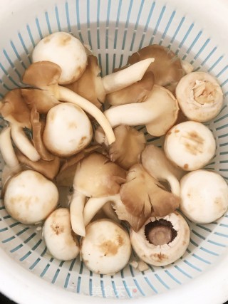 蘑菇鸡汤的做法步骤：2
