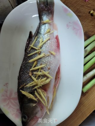 黄豆酱蒸鲈鱼的做法步骤：1