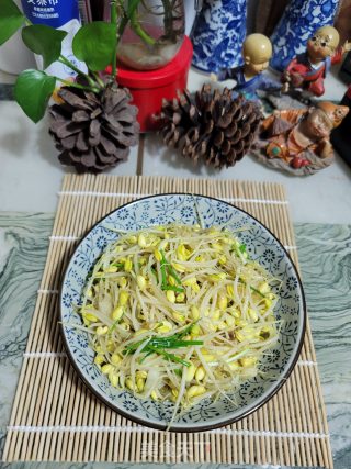 鸡汤黄豆芽的做法步骤：10