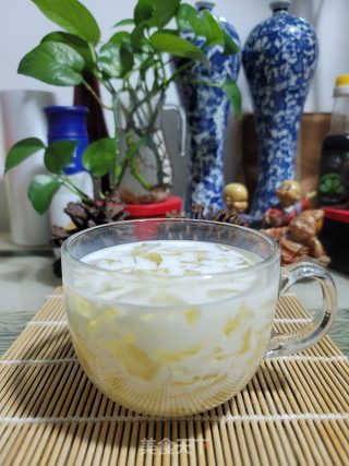 牛奶菊花冻饮的做法步骤：14