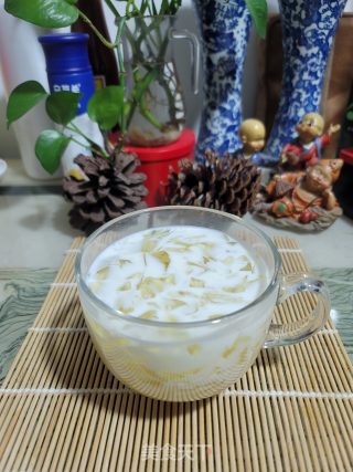 牛奶菊花冻饮的做法步骤：15