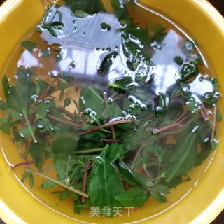 煎蛋拌土人参苗的做法步骤：6