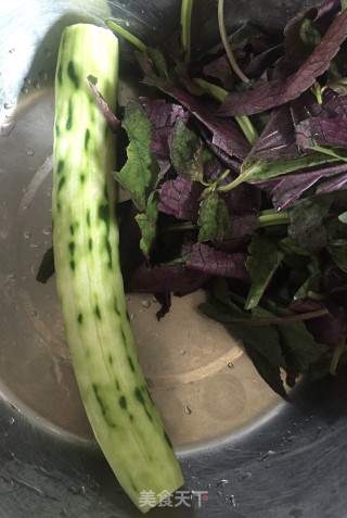 紫苏炒黄瓜的做法步骤：1