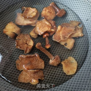 菌菇炖鸽子的做法步骤：3