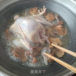 菌菇炖鸽子的做法步骤：5