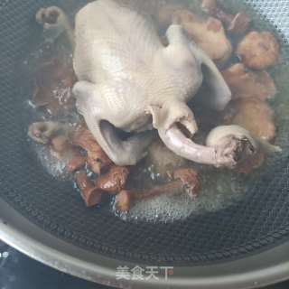 菌菇炖鸽子的做法步骤：6