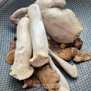 菌菇炖鸽子的做法步骤：8