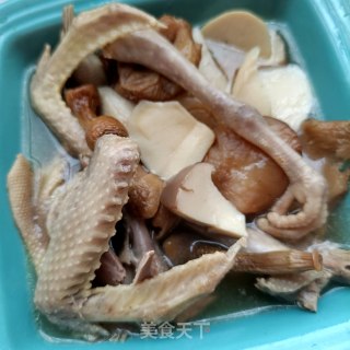 菌菇炖鸽子的做法步骤：14