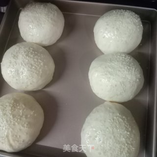 汉堡面包（波兰种）的做法步骤：6