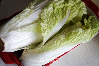 蒜蓉粉丝娃娃菜的做法步骤：2