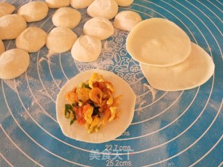 鸡蛋虾皮胡萝卜馅饺子的做法步骤：6