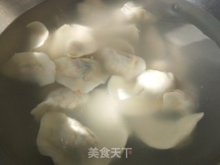 鸡蛋虾皮胡萝卜馅饺子的做法步骤：8