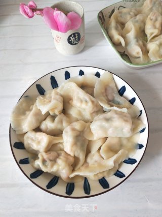 鸡蛋虾皮胡萝卜馅饺子的做法步骤：9
