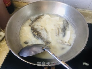 鲫鱼豆腐汤的做法步骤：3