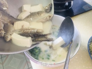 鲫鱼豆腐汤的做法步骤：5