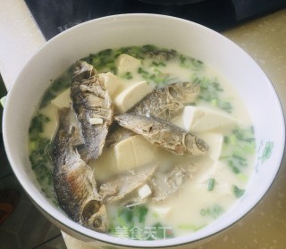 鲫鱼豆腐汤的做法步骤：6