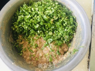 香芹大肉水饺的做法步骤：6