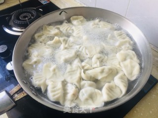 香芹大肉水饺的做法步骤：9