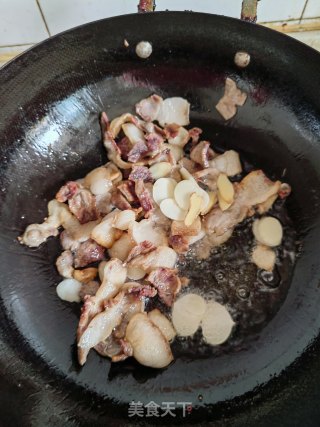 青椒回锅肉的做法步骤：4