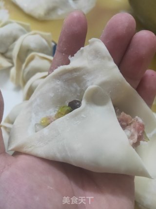 白菜饺的做法步骤：3