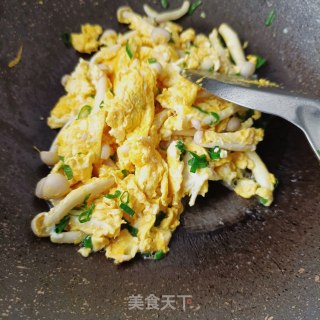 白玉菇滑蛋的做法步骤：13