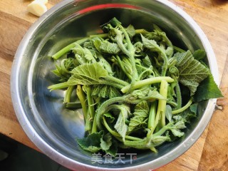 清炒南瓜尖的做法步骤：3