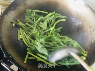 清炒南瓜尖的做法步骤：5