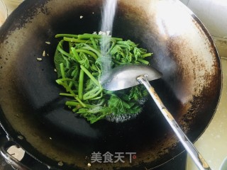 清炒南瓜尖的做法步骤：6