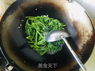 清炒南瓜尖的做法步骤：7