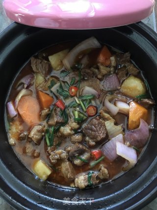 土豆胡萝卜炖牛腩的做法步骤：13