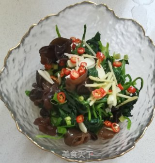 木耳拌菠菜的做法步骤：6