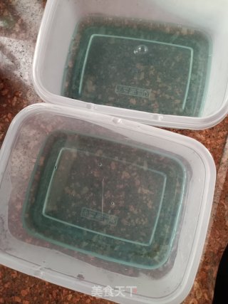 海洋奶冻的做法步骤：8