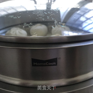 粉条鲜肉包的做法步骤：10