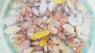 蒜蓉粉丝花蛤的做法步骤：6