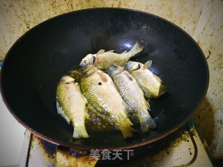 农家炖鲫鱼的做法步骤：2