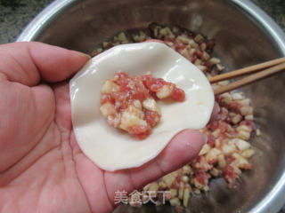 圆茄子肉馅锅贴的做法步骤：10