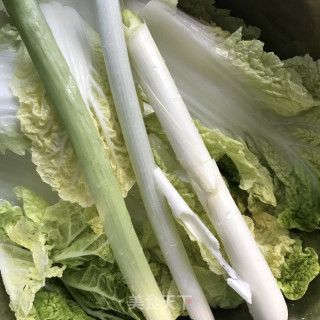 白菜牛肉煎包的做法步骤：2