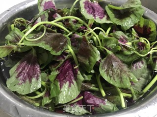 菜卷（菜蟒）的做法步骤：1