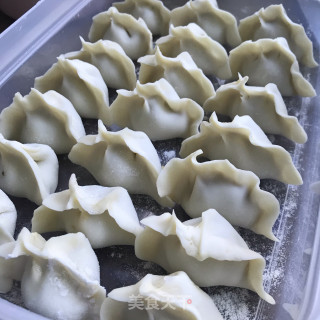 白菜牛肉水饺的做法步骤：9