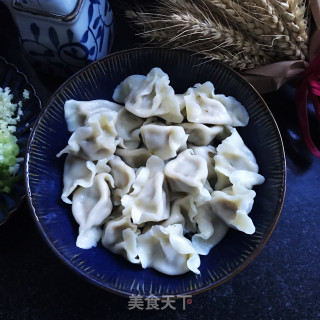 白菜牛肉水饺的做法步骤：11