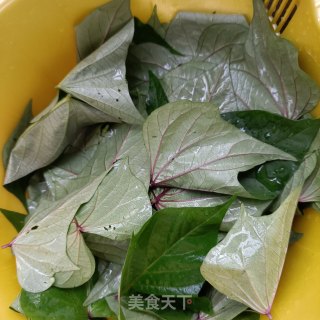 蛋皮麻汁红薯叶的做法步骤：4