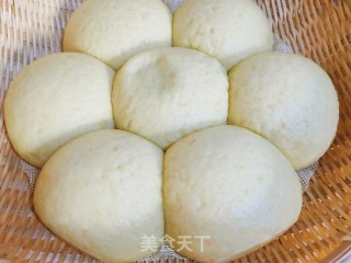 玉米面馒头的做法步骤：12